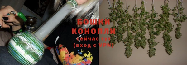 крисы Струнино